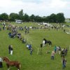 Ponyfestival 2008 013